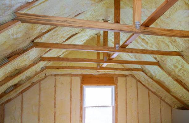 Best Insulation Inspection Services  in Earlvle, IL