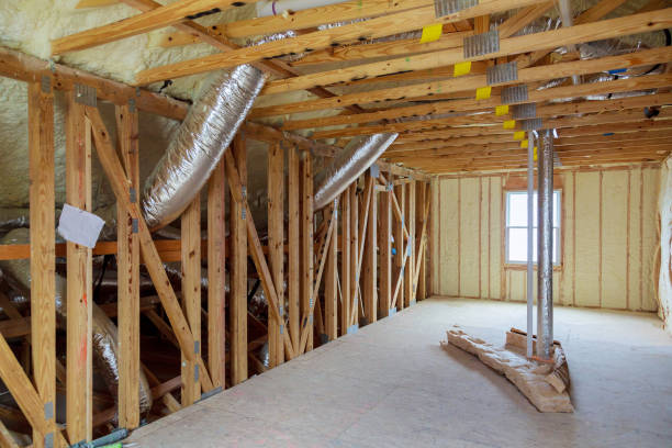 Best Best Insulation Companies  in Earlvle, IL