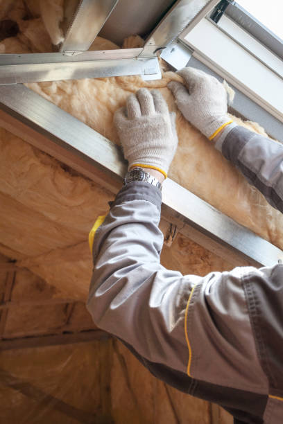 Best Insulation Repair Services  in Earlvle, IL