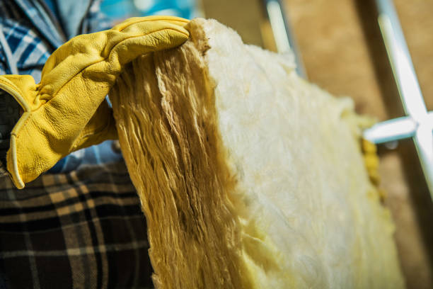 Best Cellulose Insulation  in Earlvle, IL