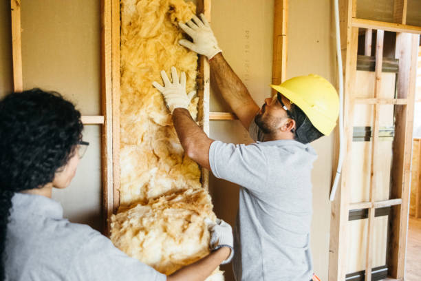 Best Energy-efficient Insulation  in Earlvle, IL