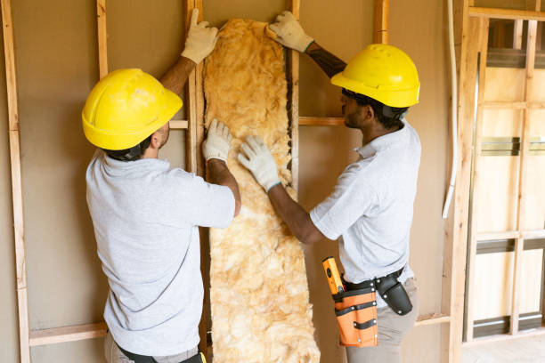 Best Attic Insulation Installation  in Earlvle, IL