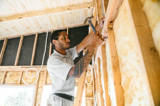 Best Soundproof Insulation Installation  in Earlvle, IL