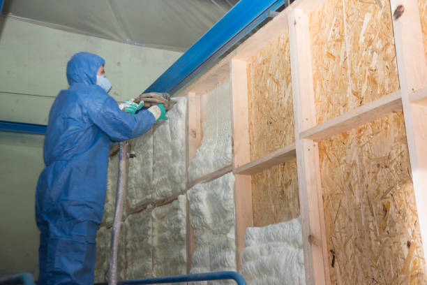 Best Insulation Removal  in Earlvle, IL
