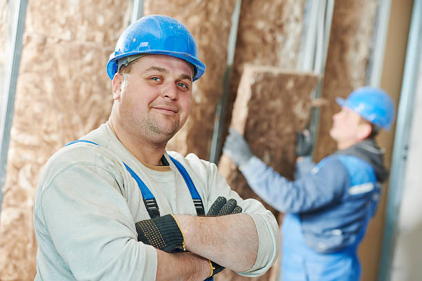 Best Insulation for New Construction  in Earlvle, IL