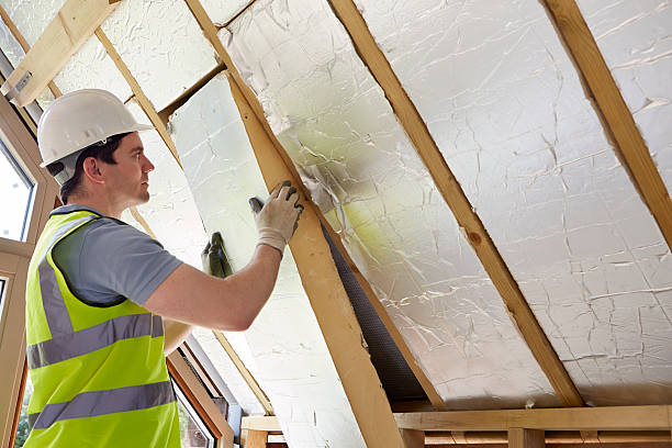 Best Professional Insulation Contractor  in Earlvle, IL
