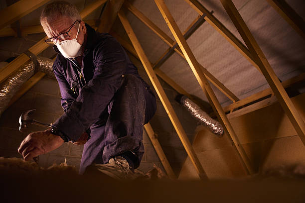 Best Insulation Replacement Services  in Earlvle, IL